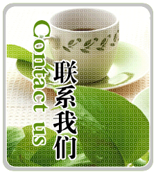 案例展示19